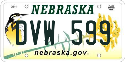 NE license plate DVW599