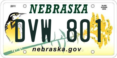 NE license plate DVW801