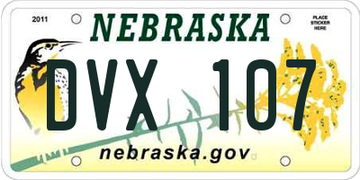 NE license plate DVX107