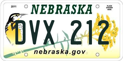 NE license plate DVX212