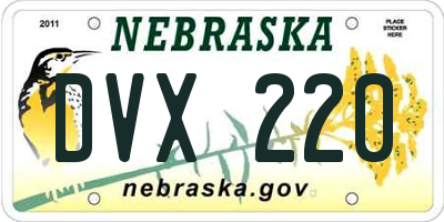NE license plate DVX220