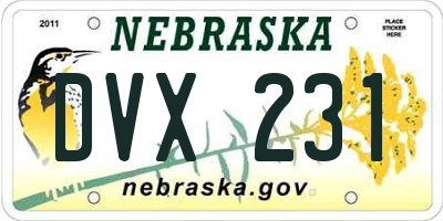 NE license plate DVX231