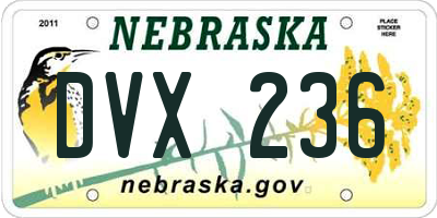 NE license plate DVX236