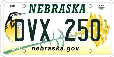 NE license plate DVX250