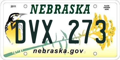 NE license plate DVX273