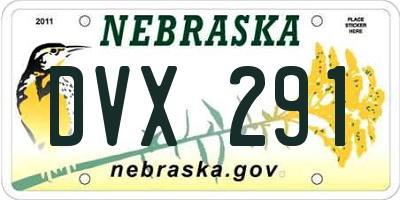 NE license plate DVX291