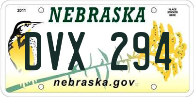 NE license plate DVX294