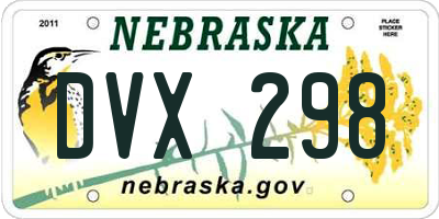 NE license plate DVX298