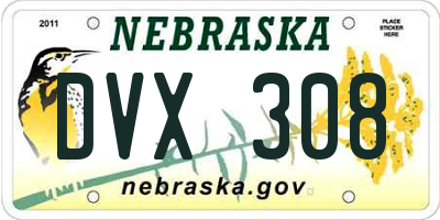 NE license plate DVX308