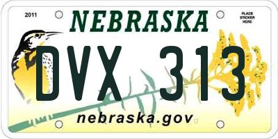 NE license plate DVX313