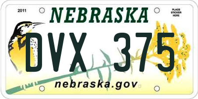 NE license plate DVX375