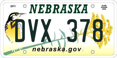 NE license plate DVX378