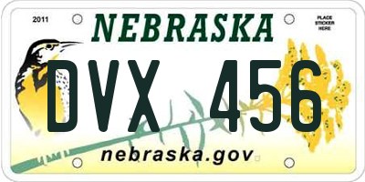 NE license plate DVX456