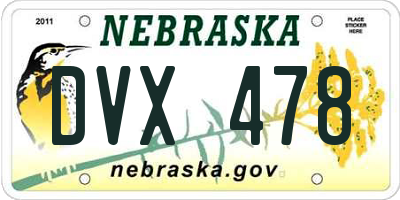 NE license plate DVX478