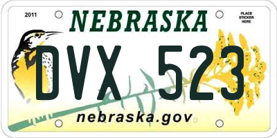 NE license plate DVX523