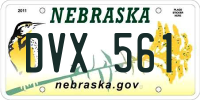 NE license plate DVX561