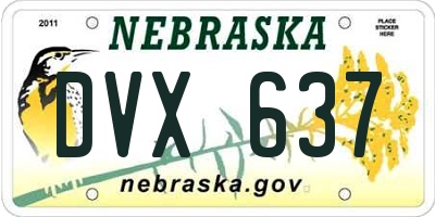 NE license plate DVX637