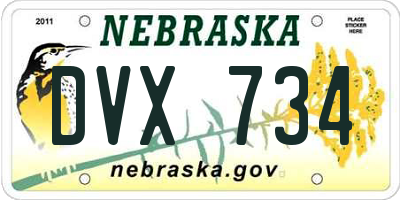 NE license plate DVX734