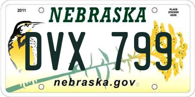 NE license plate DVX799