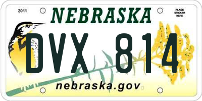 NE license plate DVX814