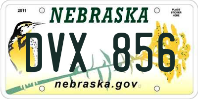 NE license plate DVX856