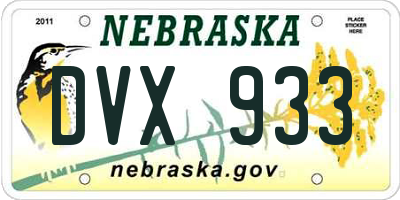 NE license plate DVX933