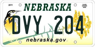 NE license plate DVY204