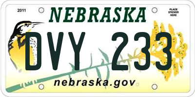 NE license plate DVY233