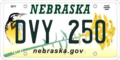 NE license plate DVY250