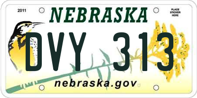 NE license plate DVY313