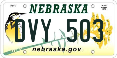 NE license plate DVY503