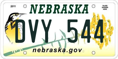 NE license plate DVY544