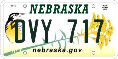 NE license plate DVY717