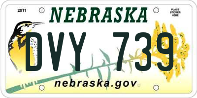 NE license plate DVY739
