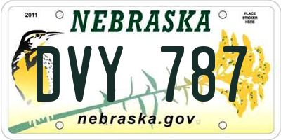 NE license plate DVY787