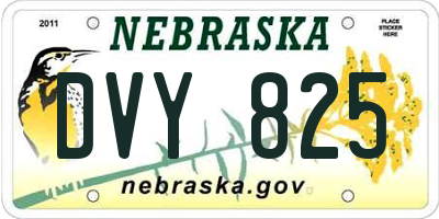 NE license plate DVY825