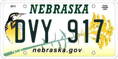 NE license plate DVY917