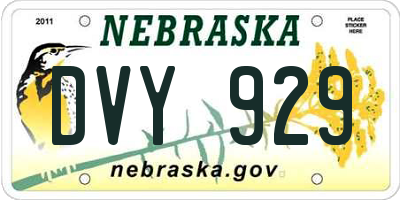 NE license plate DVY929