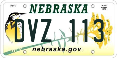 NE license plate DVZ113