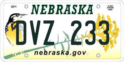 NE license plate DVZ233