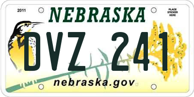 NE license plate DVZ241
