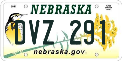NE license plate DVZ291