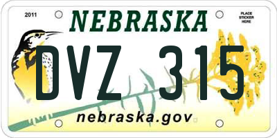 NE license plate DVZ315