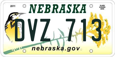 NE license plate DVZ713