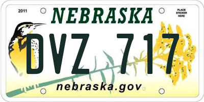 NE license plate DVZ717