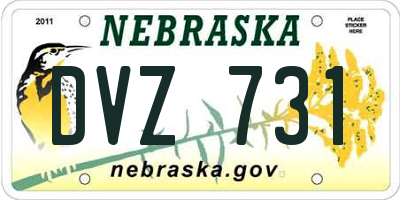 NE license plate DVZ731