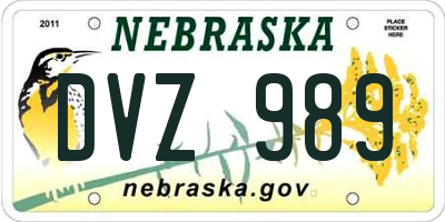 NE license plate DVZ989