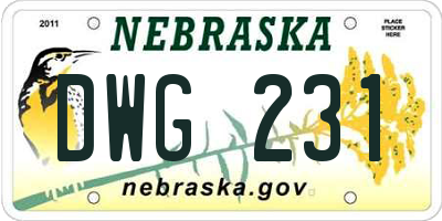 NE license plate DWG231