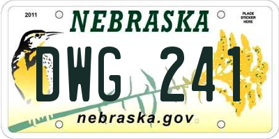 NE license plate DWG241