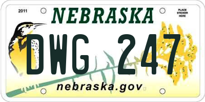 NE license plate DWG247